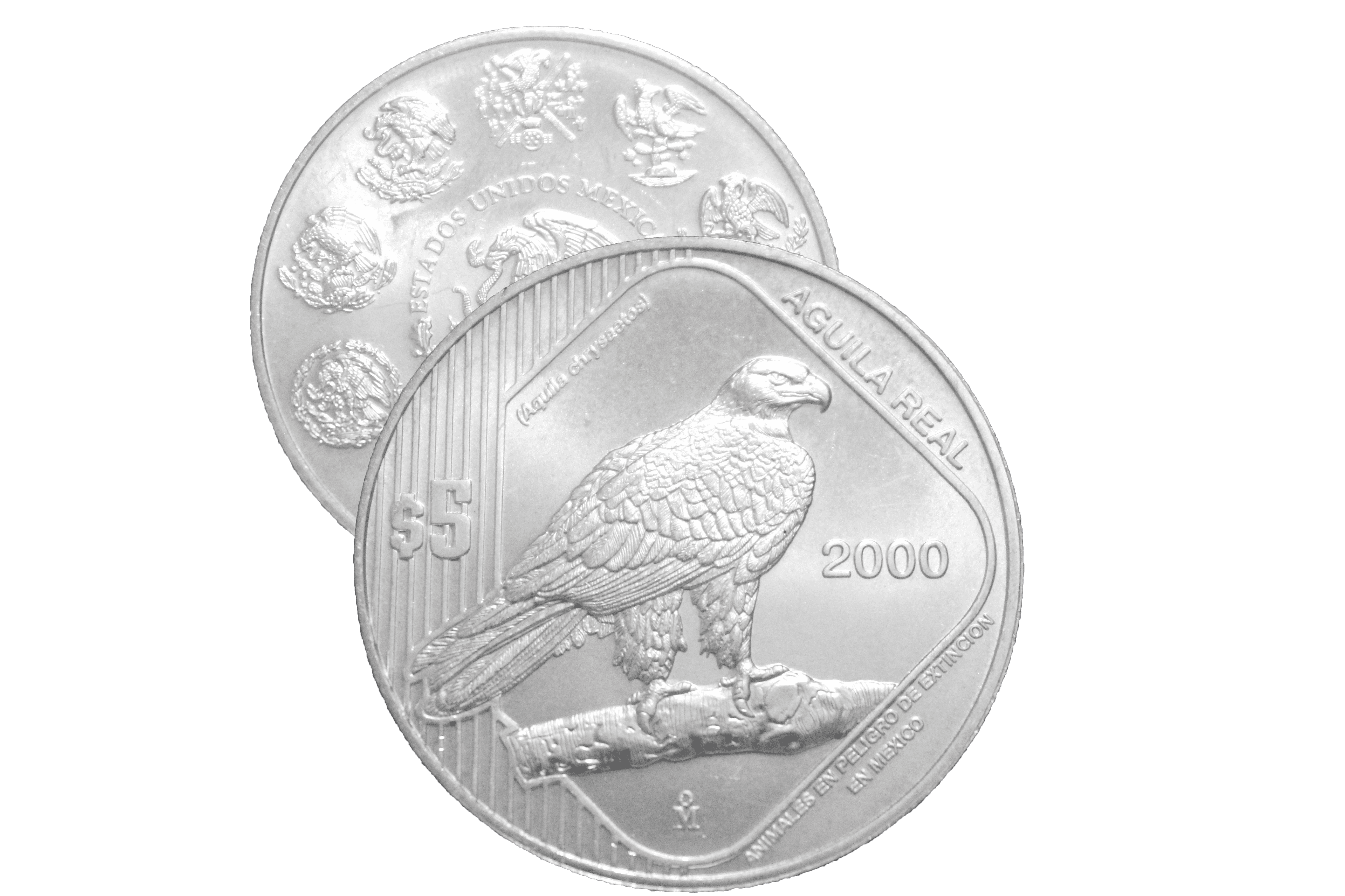 ONZA AGUILA REAL